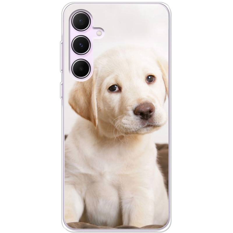 Чехол BoxFace Samsung Galaxy A55 5G (A556) Puppy Labrador