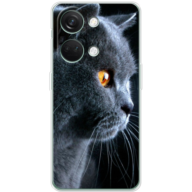 Чехол BoxFace OnePlus Nord 3 5G English cat