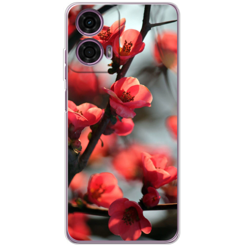 Чехол BoxFace Motorola G24 Awakening Spring