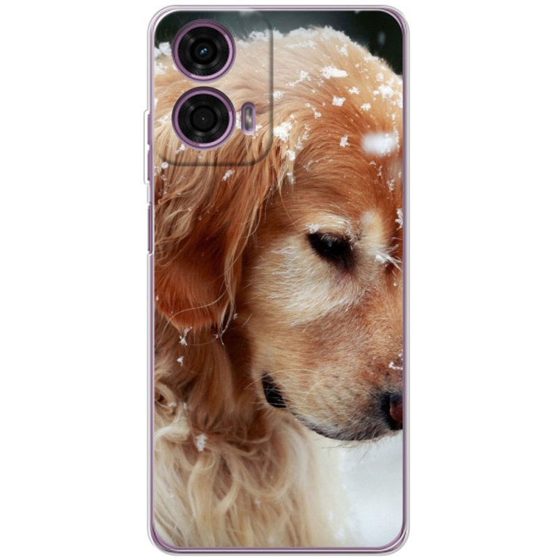 Чехол BoxFace Motorola G24 Golden Retriever