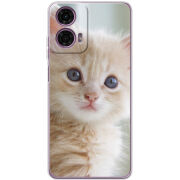 Чехол BoxFace Motorola G24 Animation Kittens