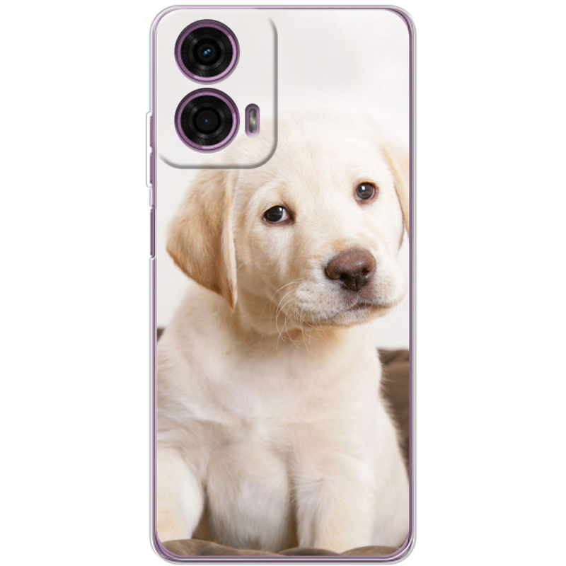 Чехол BoxFace Motorola G24 Puppy Labrador