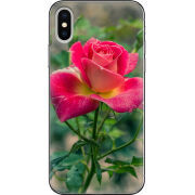 Чехол Uprint Apple iPhone X 