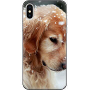 Чехол Uprint Apple iPhone X Golden Retriever