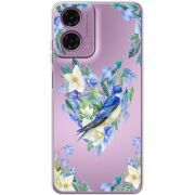 Прозрачный чехол BoxFace Motorola G04 Spring Bird