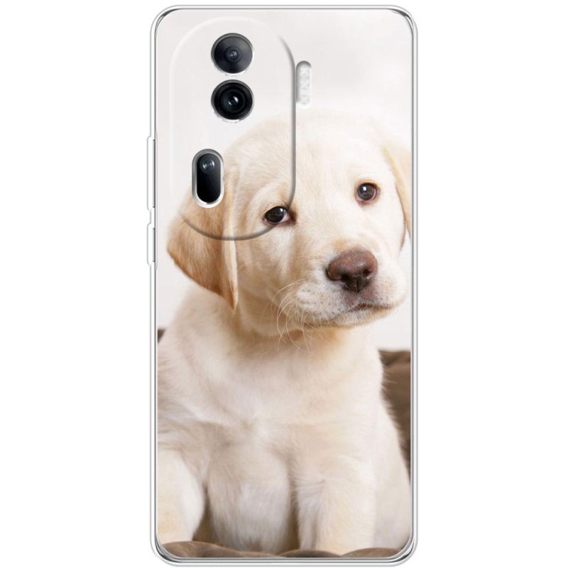 Чехол BoxFace OPPO Reno 11 Pro 5G Puppy Labrador