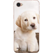 Чехол Uprint LG Q6 A / Plus LGM700 Puppy Labrador