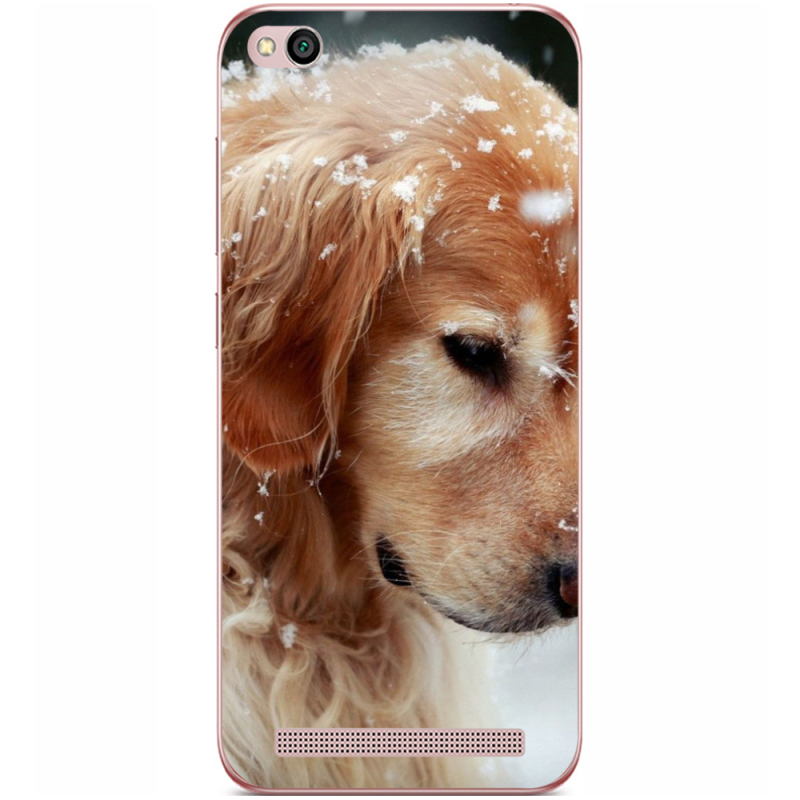 Чехол Uprint Xiaomi Redmi 5A Golden Retriever