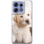 Чехол BoxFace Motorola Edge 50 Pro Puppy Labrador