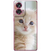 Чехол BoxFace Motorola Edge 50 Fusion Animation Kittens