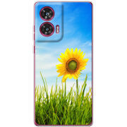 Чехол BoxFace Motorola Edge 50 Fusion Sunflower Heaven