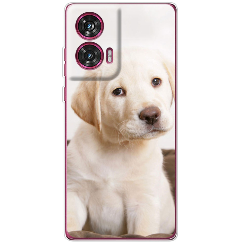 Чехол BoxFace Motorola Edge 50 Fusion Puppy Labrador