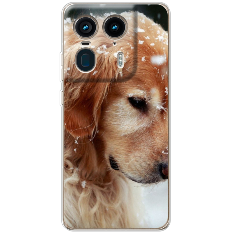 Чехол BoxFace Motorola Edge 50 Ultra Golden Retriever