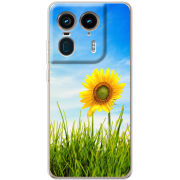 Чехол BoxFace Motorola Edge 50 Ultra Sunflower Heaven