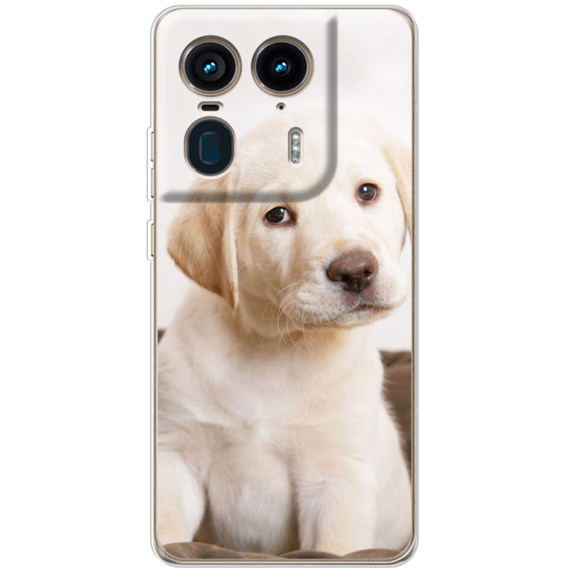 Чехол BoxFace Motorola Edge 50 Ultra Puppy Labrador