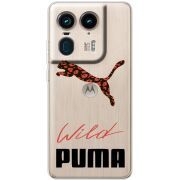 Прозрачный чехол BoxFace Motorola Edge 50 Ultra Wild Cat