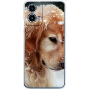 Чехол BoxFace Motorola G34 Golden Retriever