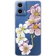 Прозрачный чехол BoxFace Motorola G34 Cherry Blossom