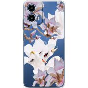 Прозрачный чехол BoxFace Motorola G34 Chinese Magnolia