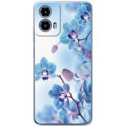 Чехол со стразами Motorola G34 Orchids