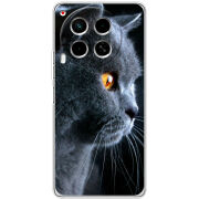 Чехол BoxFace Tecno Camon 30 English cat