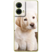 Чехол BoxFace Motorola G85 Puppy Labrador