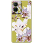 Прозрачный чехол BoxFace Motorola G85 Chinese Magnolia