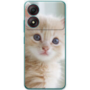 Чехол BoxFace ZTE Blade A34 Animation Kittens