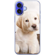 Чехол BoxFace Apple iPhone 16 Plus Puppy Labrador