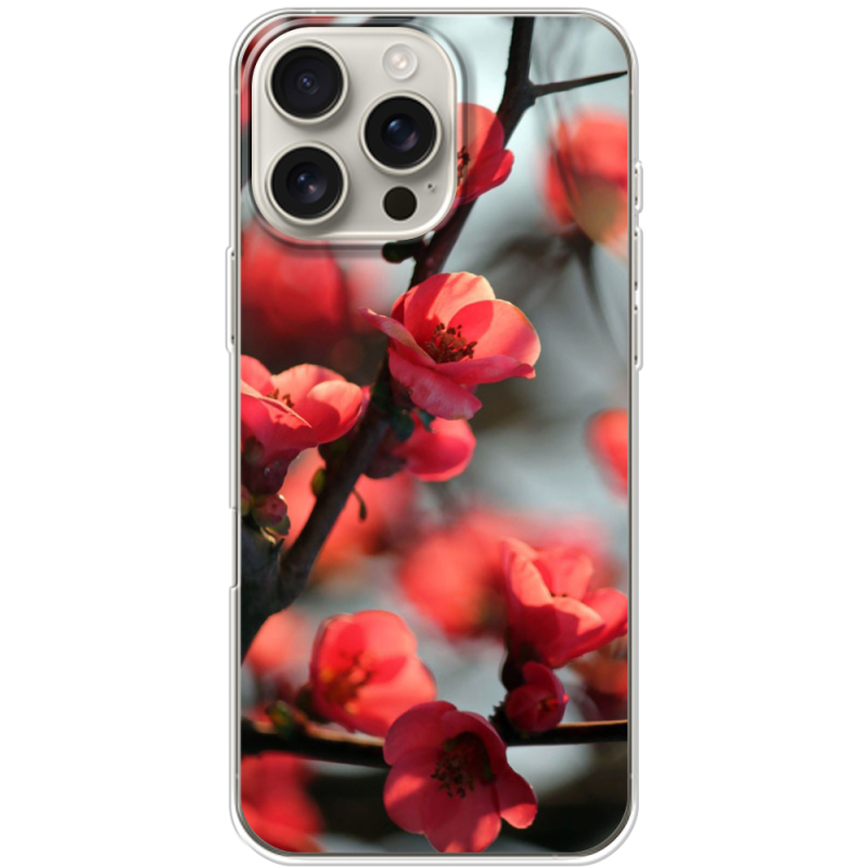 Чехол BoxFace Apple iPhone 16 Pro Max Awakening Spring