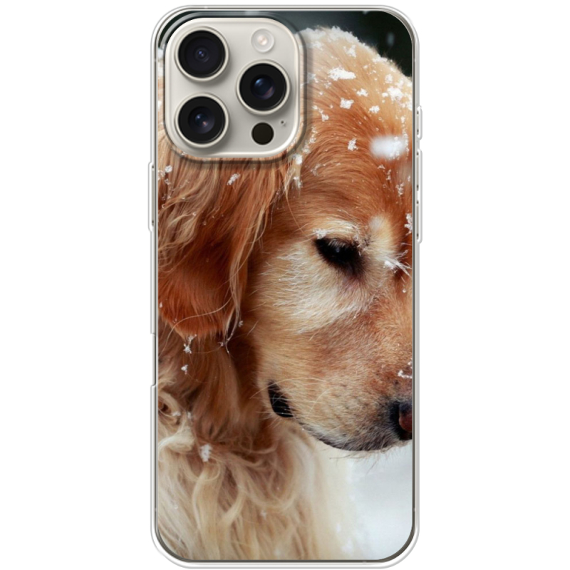 Чехол BoxFace Apple iPhone 16 Pro Max Golden Retriever