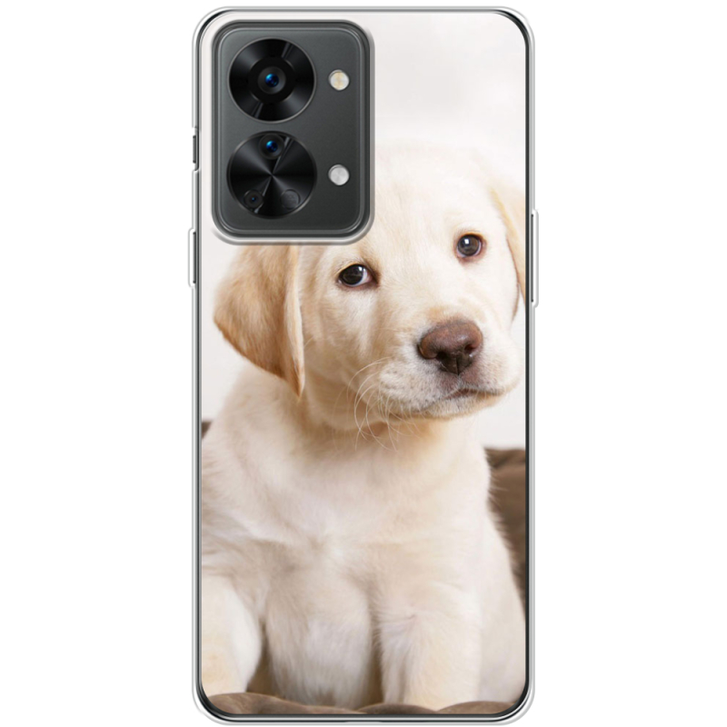 Чехол BoxFace OnePlus Nord 2T 5G Puppy Labrador