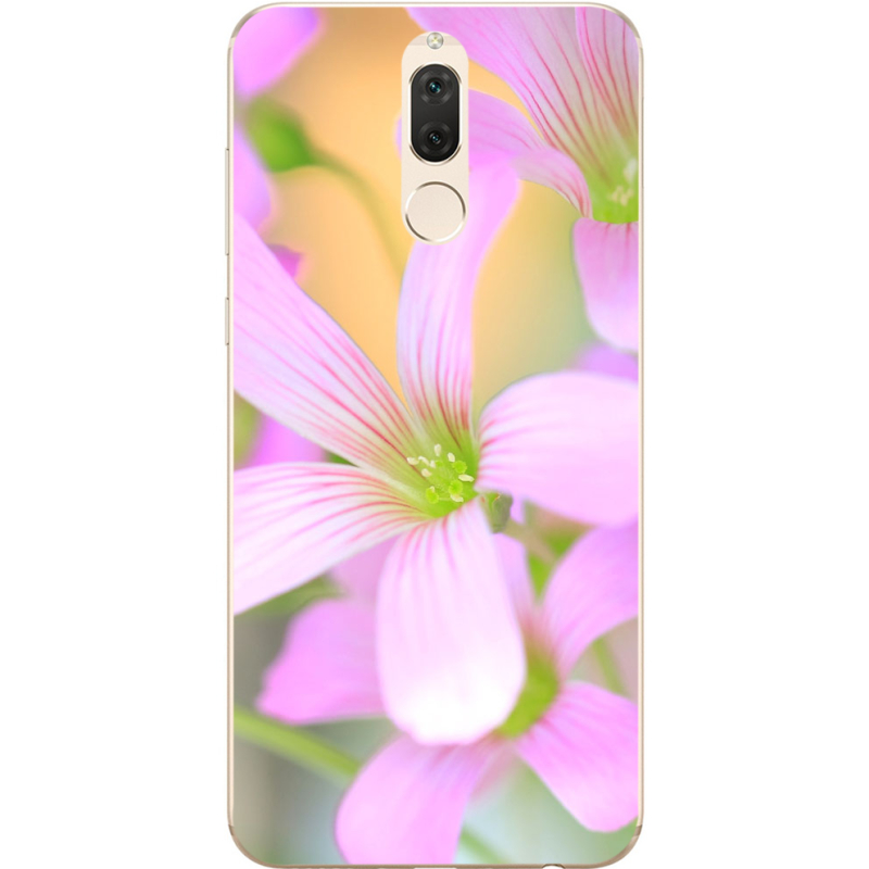 Чехол Uprint Huawei Mate 10 Lite 