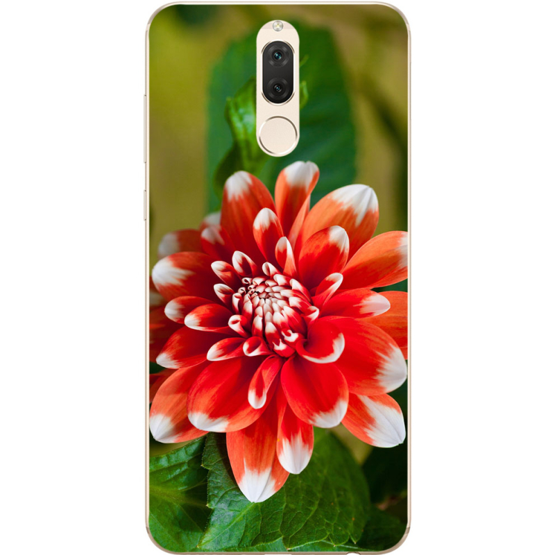 Чехол Uprint Huawei Mate 10 Lite 