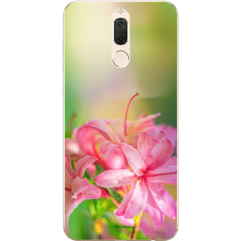 Чехол Uprint Huawei Mate 10 Lite 