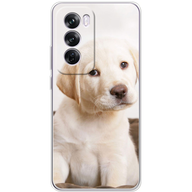 Чехол BoxFace OPPO Reno 12 Pro Puppy Labrador