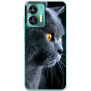 Чехол BoxFace Oukitel C35 English cat