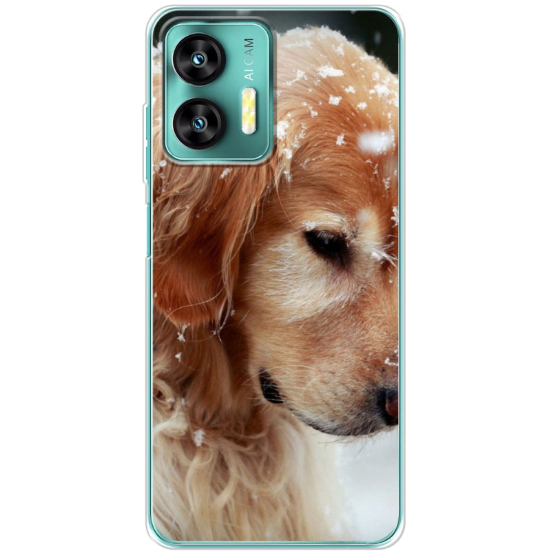 Чехол BoxFace Oukitel C35 Golden Retriever