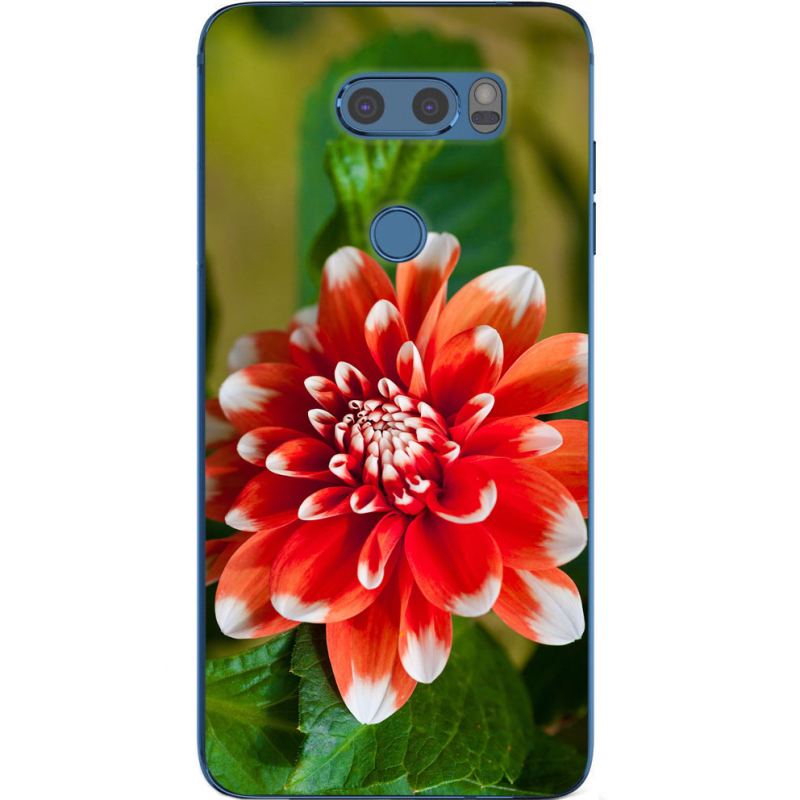 Чехол Uprint LG V30 / V30 Plus H930DS 