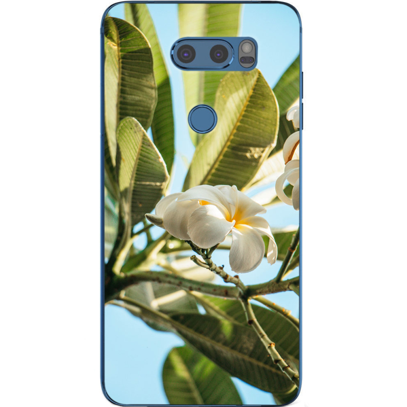 Чехол Uprint LG V30 / V30 Plus H930DS 