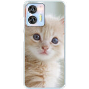 Чехол BoxFace Oukitel C36 Animation Kittens