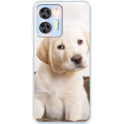 Чехол BoxFace Oukitel C36 Puppy Labrador