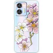 Прозрачный чехол BoxFace Oukitel C36 Cherry Blossom