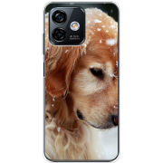 Чехол BoxFace Ulefone Note 16 Pro Golden Retriever