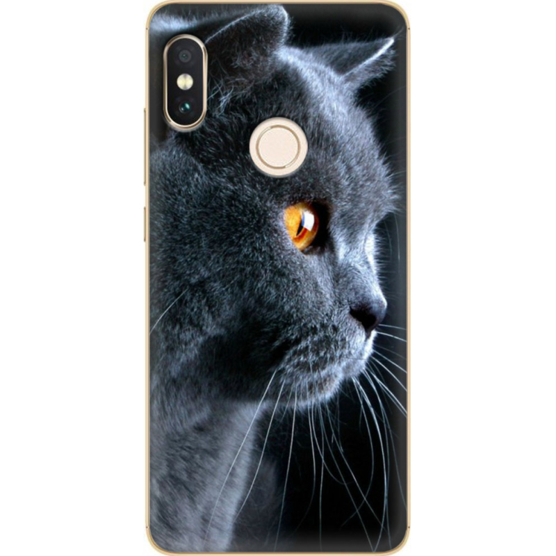 Чехол Uprint Xiaomi Redmi Note 5 / Note 5 Pro English cat