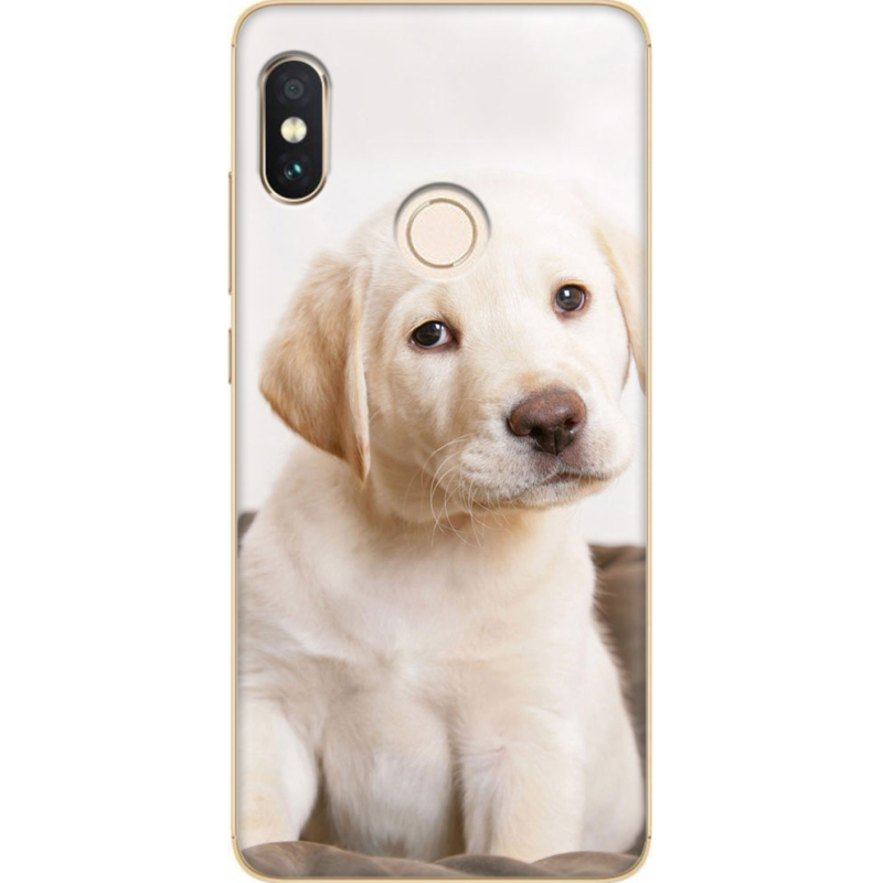 Чехол Uprint Xiaomi Redmi Note 5 / Note 5 Pro Puppy Labrador