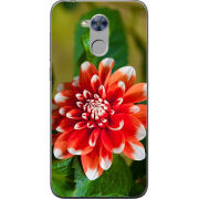 Чехол Uprint Huawei Honor 6A 