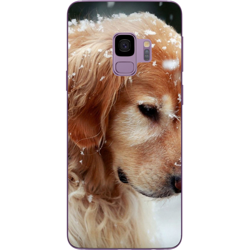 Чехол Uprint Samsung G960 Galaxy S9 Golden Retriever