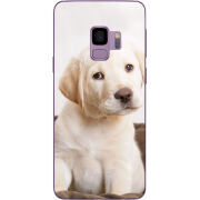 Чехол Uprint Samsung G960 Galaxy S9 Puppy Labrador