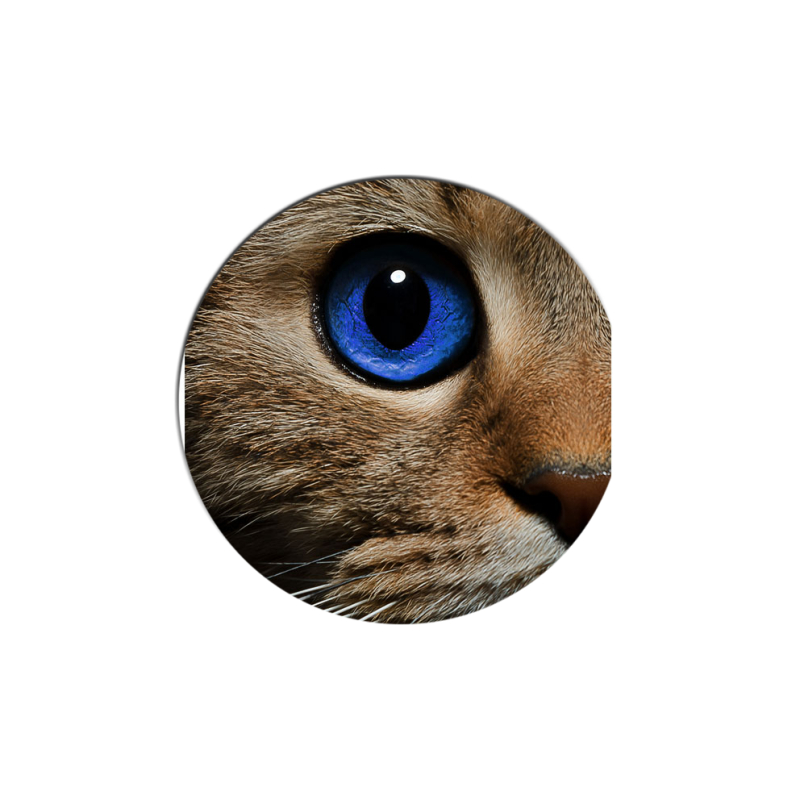 Uprint Popsocket Cat's Eye